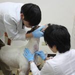 養成教育訓練紀實_21