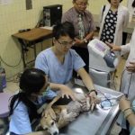 動物骨骼3D模型列印技術_2