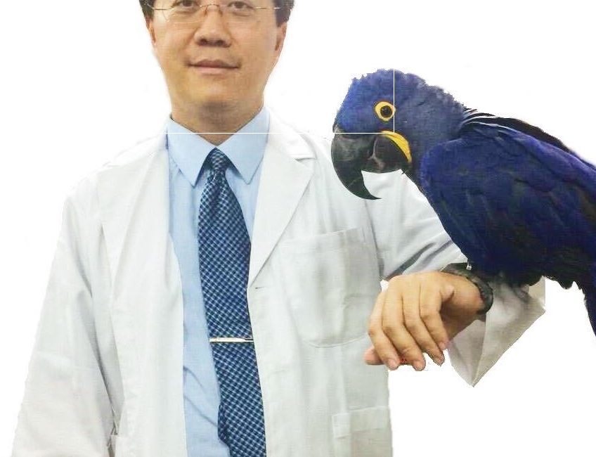 吳弘毅
