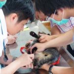 伴侶動物醫師訓練
